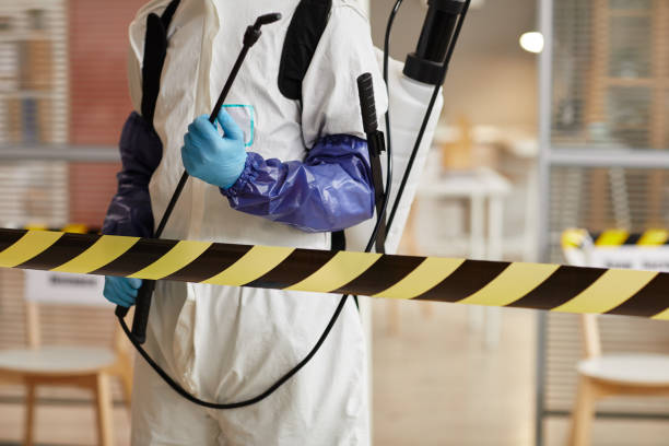 Professional Biohazard technician working in Marne, MI